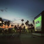 FESTIVAL DE CINE DE LOS CABOS