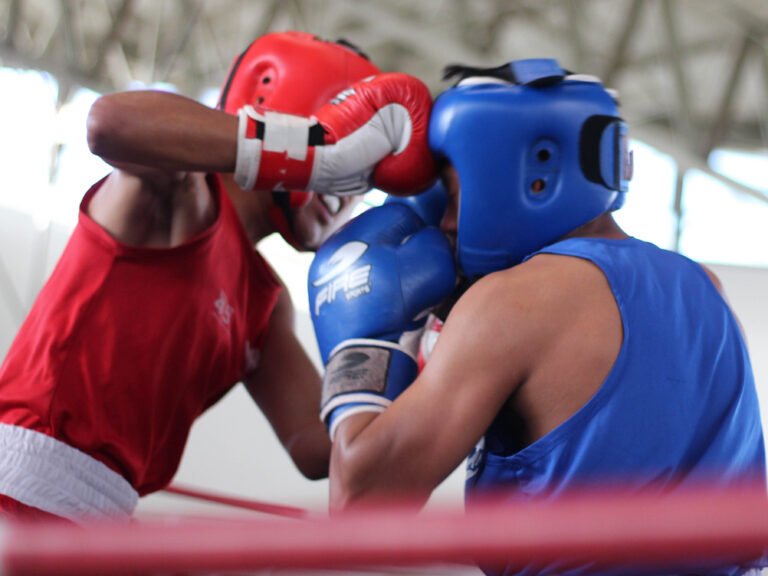 Pugilistas al ring