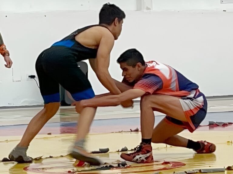 Gladiadores a escena