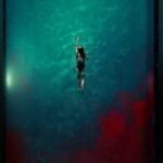 406397997_756195943208664_4152506998299261264_n