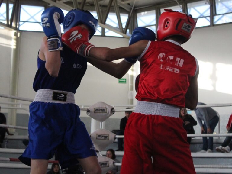Boxeadores al estatal