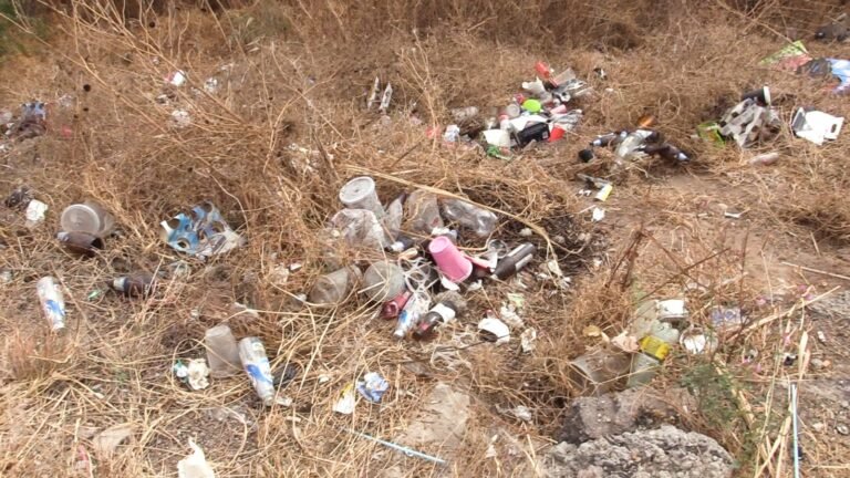 Ciudadanía persiste tirando basura en las calles