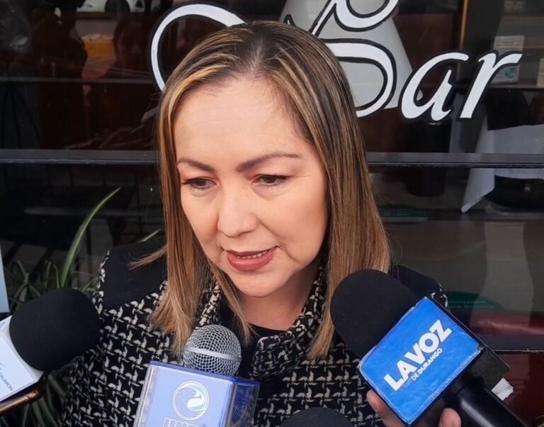 Joana Soto Quiñones, nueva presidenta de Canacintra