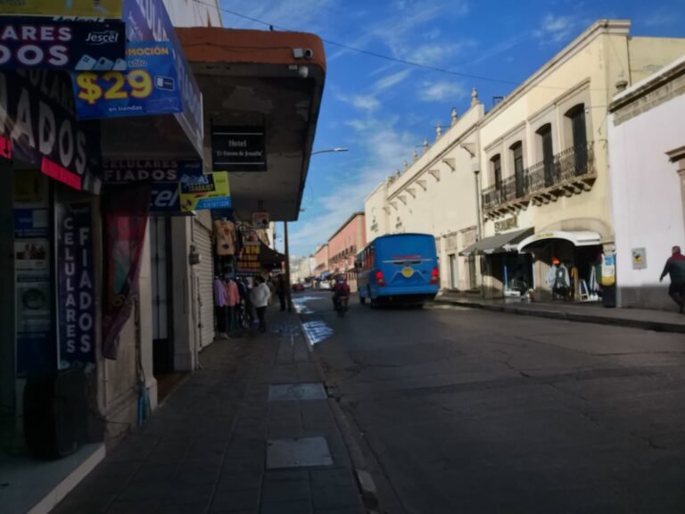 Disminuyen ventas hasta un 70%: Canacope