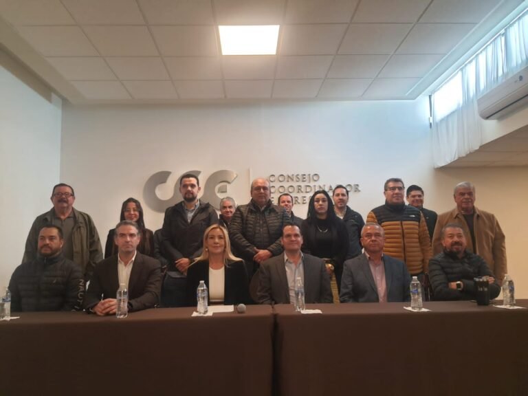 Busca Magdalena Gaucín reelección en el CCE