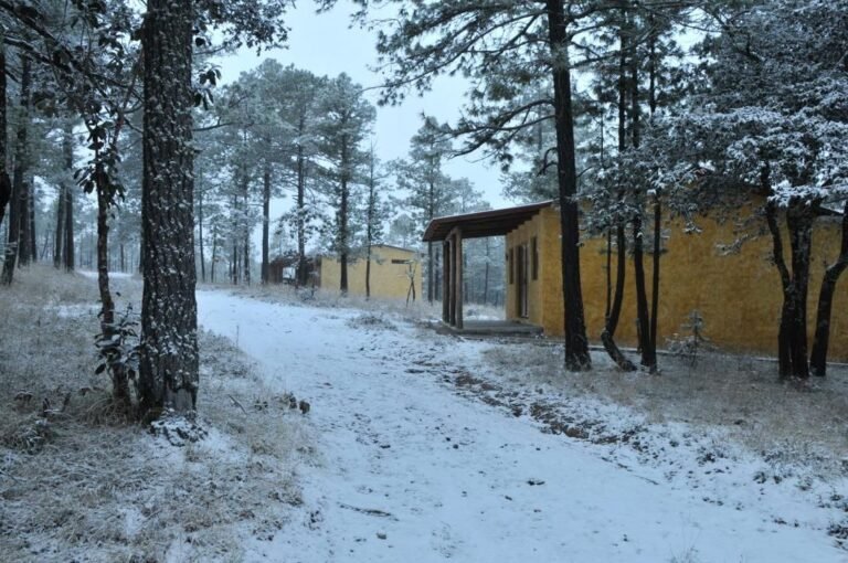 Durango, con posibles nevadas en enero: CEPC