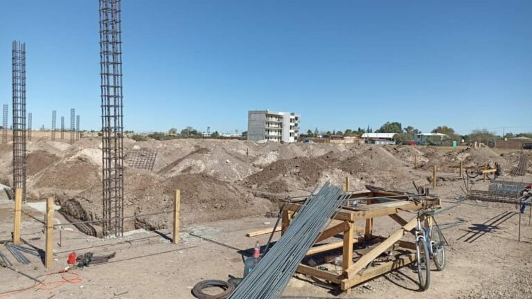 Sin trabajo, 7 de 10 profesionistas