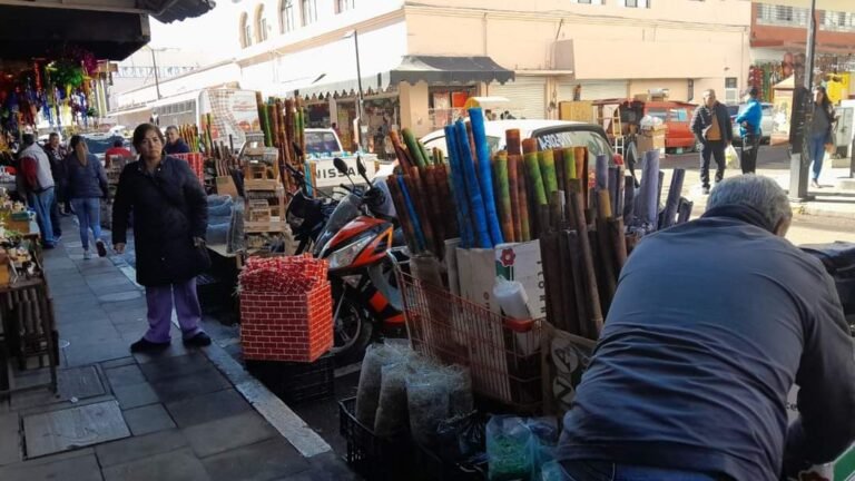 Comerciantes establecidos, contra la informalidad