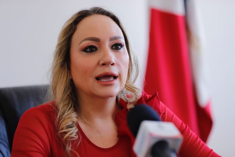 Brinda FGED asesorías a quienes invirtieron en empresa Yox Holding