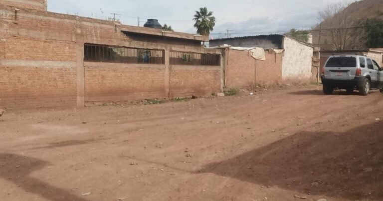Falta pavimento en la colonia Ampliación PRI