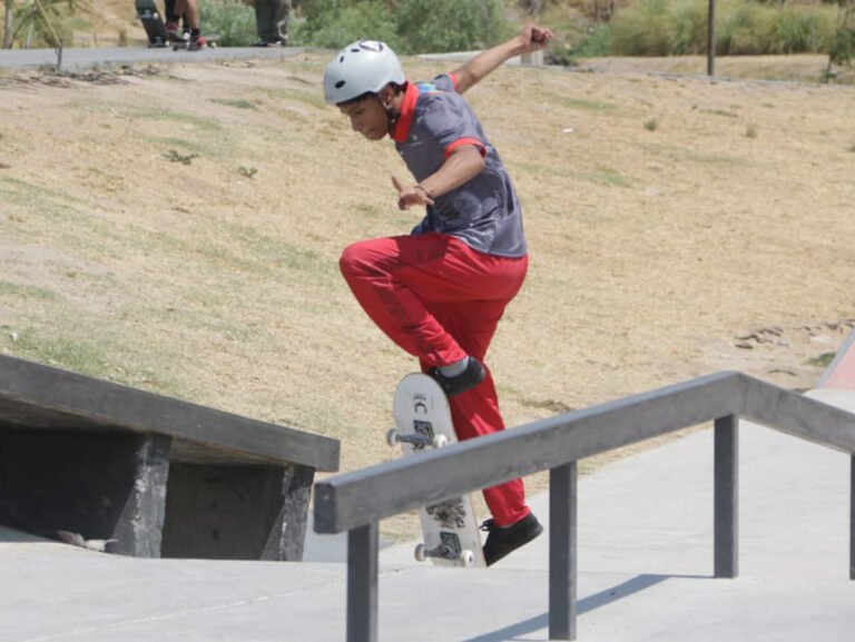 Estatal de skate