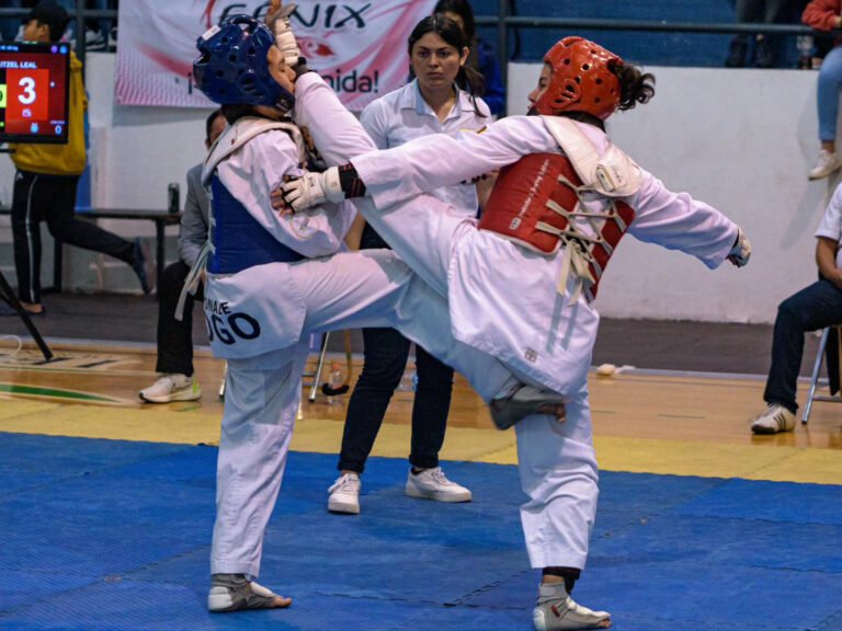 Taekwondoines a escena