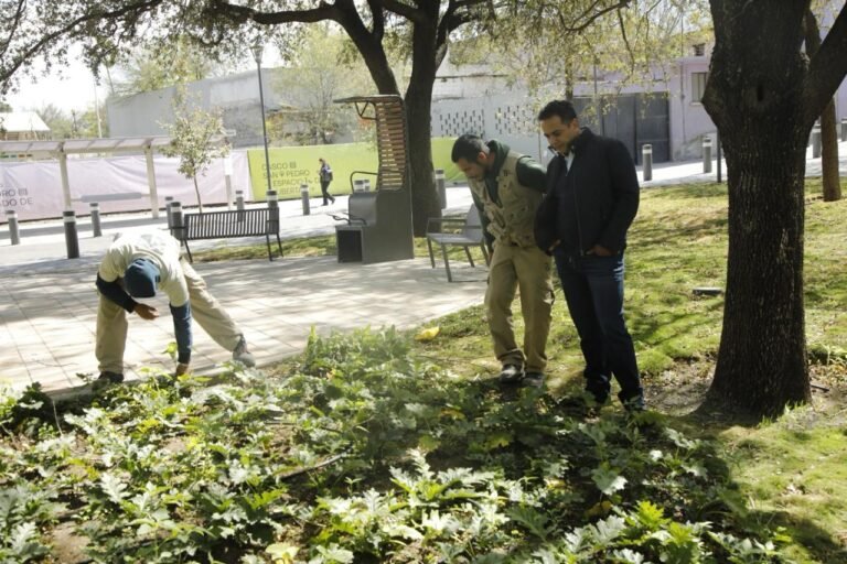 Tendrá Durango el parque lineal más chulo para la gran familia: Toño Ochoa
