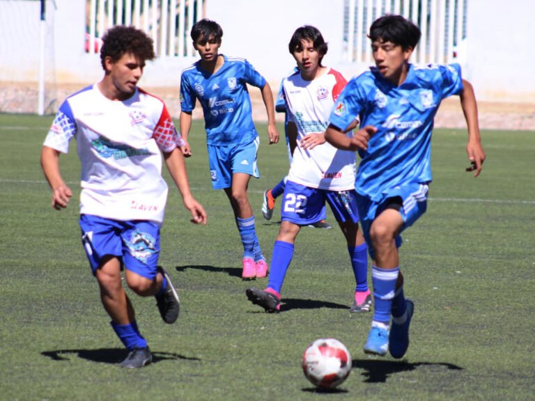 Tigres divide triunfos