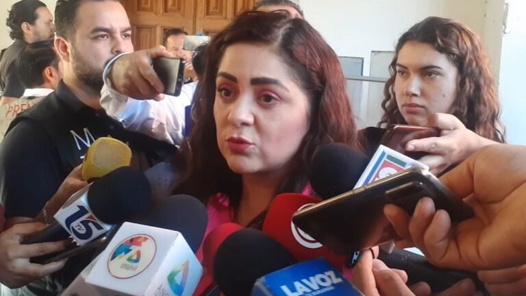 Parquímetros físicos no pueden regresar: Ali Gamboa