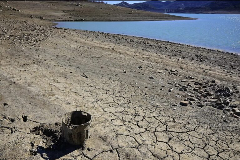 Lluvias, insuficientes para mitigar la sequía: CAED