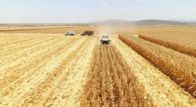 Olas de calor amenazan al sector rural: diputado