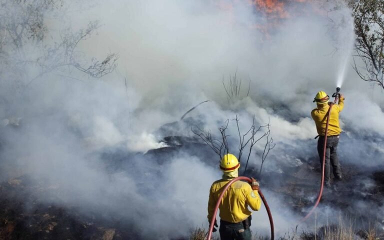Alerta cantidad de incendios forestales en la entidad: CEPC