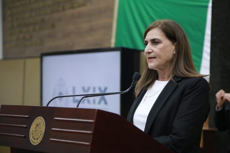 Propone Paty Jiménez de 4 a 10 años de prisión por robo de equipamiento urbano