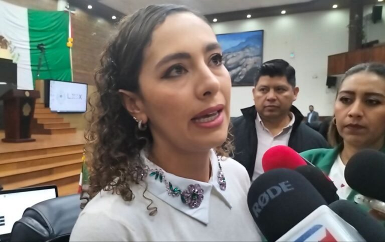 Alianza PAN, PRI, PRD, unida en el proceso electoral: Gaby Hernández