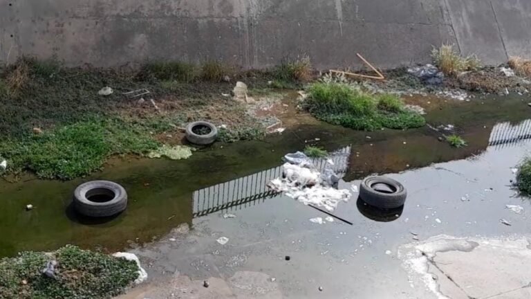 Aumenta la contaminación en el Arroyo Seco