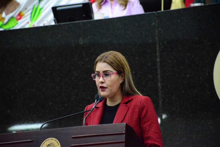 Urgen más espacios de salud mental: diputada
