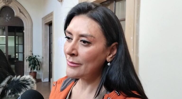 Se registran 19 suicidios, en su mayoría de jóvenes: Martha Palencia