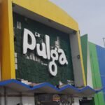 PULGA 1