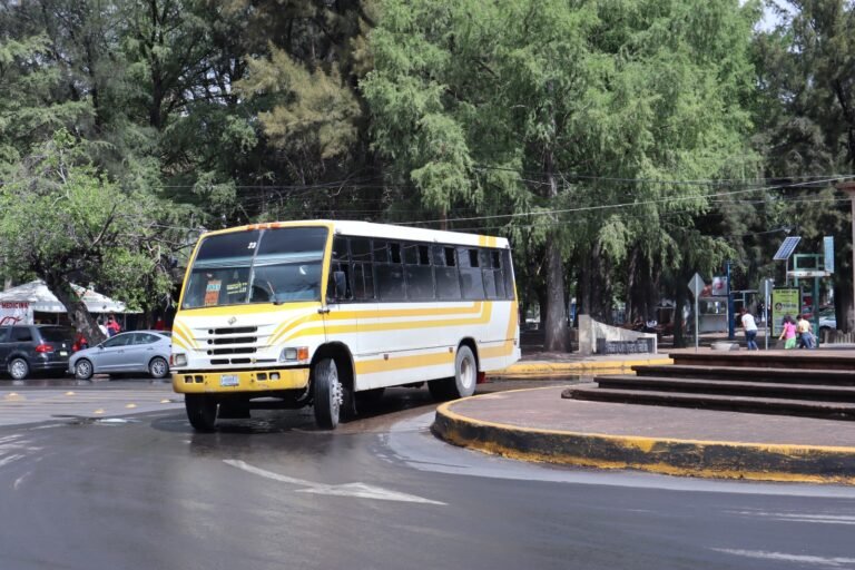 Persiste la seguridad vial en el transporte público: regidor