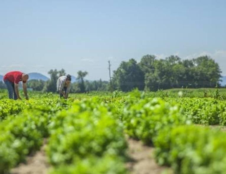 Crece migración 30% por la sequía: Pedro Silerio