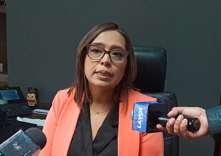 Sin denuncias laborales por pagar menos del salario mínimo: STyPS