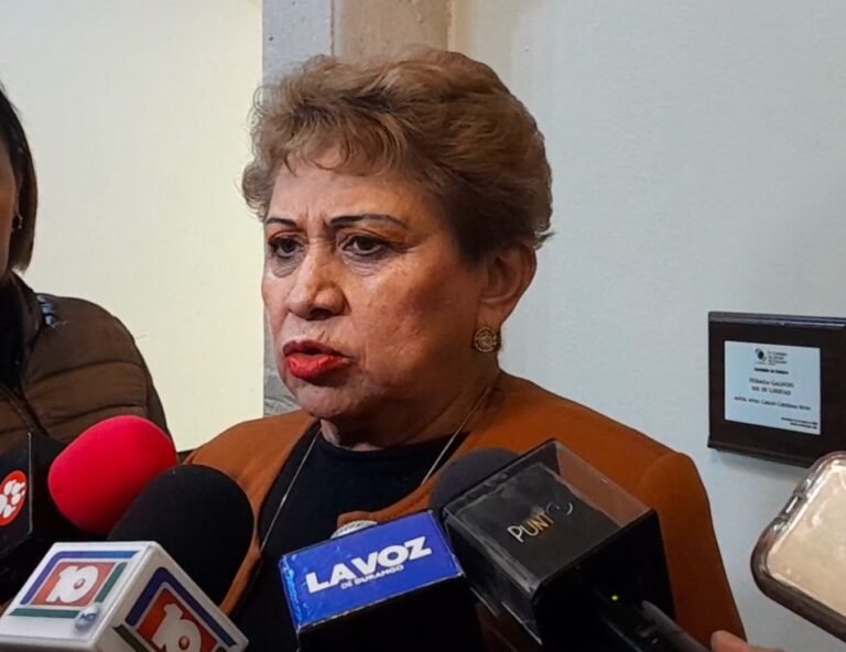 Bullying escolar, una problemática creciente: Triana Martínez