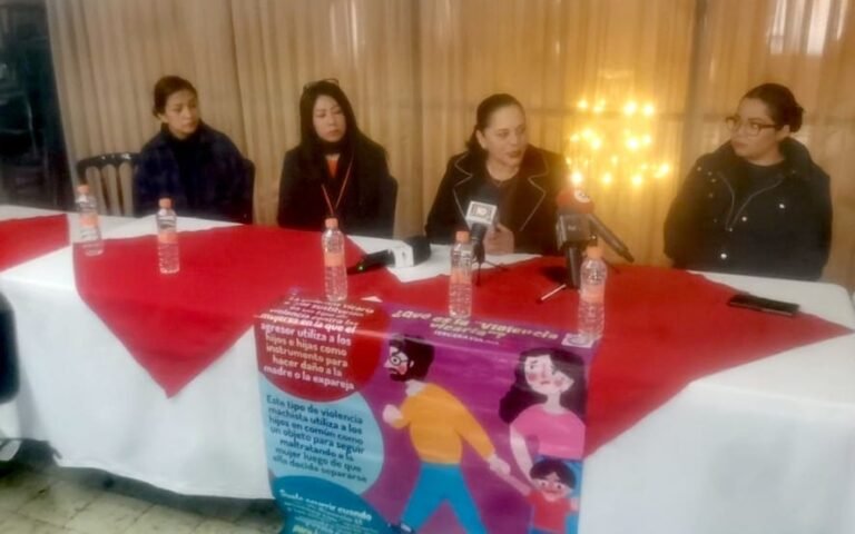 No hay legislación contra la violencia vicaria en Durango