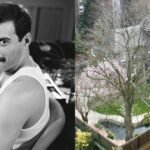 foto-2-2_6851640_20240227160129