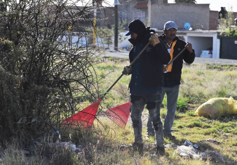 Recolectan 20 toneladas de basura y maleza