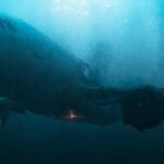 431289237_786044416891871_4903810510005578120_n copia