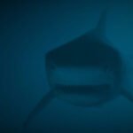 431312717_786044393558540_7476368156904941391_n copia