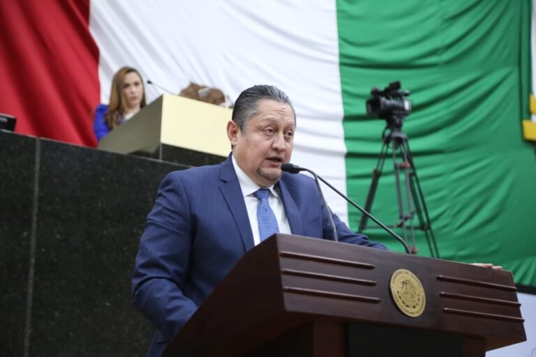 Visitadores deben cumplir con perfiles profesionales: diputado