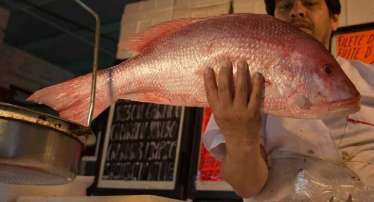 Buscan comerciantes garantizar calidad de alimentos