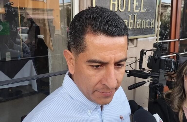 Se registran cien mil perros callejeros