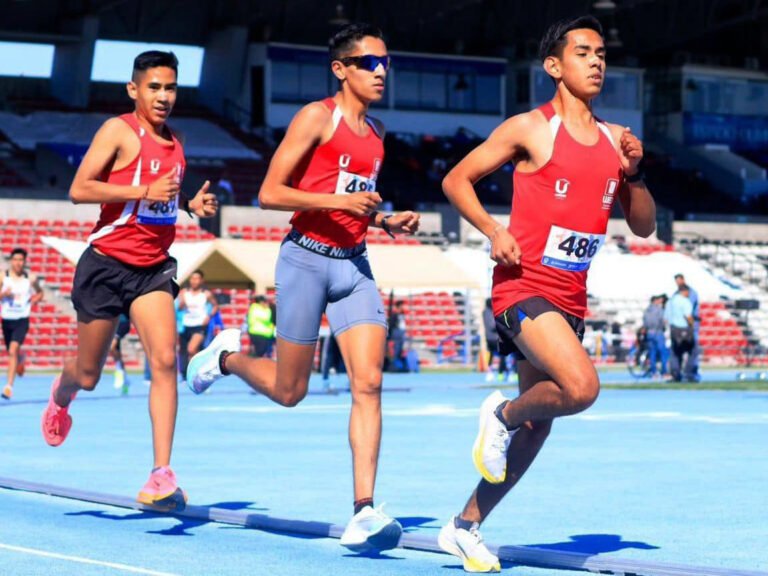 Serán más de 10 mil