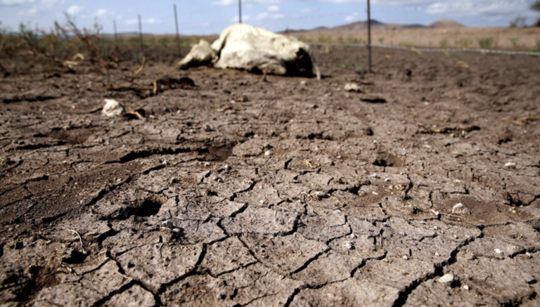 Serio problema por el agua en Durango: Manuel Herrera