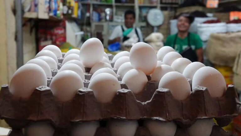 Golpe al bolsillo de las familias y empresarios duranguenses; alza de 25% el kilo de huevo