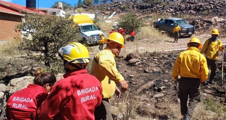 Van 77 incendios forestales; se duplican hectáreas afectadas comparado al 2023