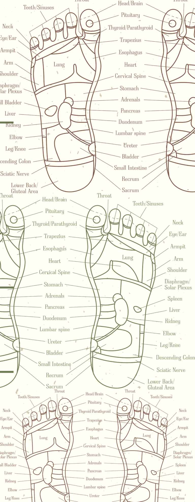 Invitan a conferencia de “Reflexología”