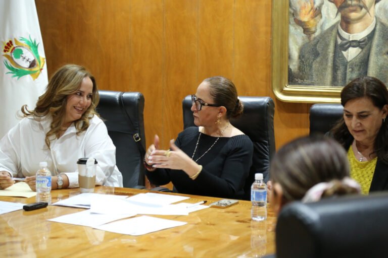 “Puntos Violeta”, espacios seguros para mujeres: Marisol Carrillo