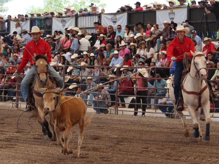 Rodeo a escena en JNC