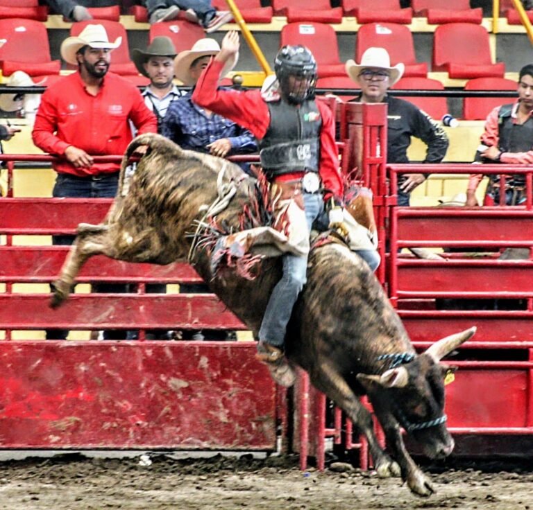 Termina rodeo en los JNC