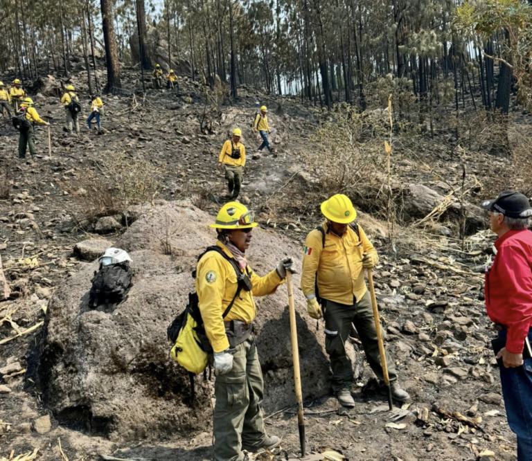 Activos, 7 incendios forestales activos en Durango: alcalde de San Dimas