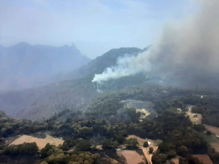 Hay 9 incendios forestales activos en Durango, dos de ellos en San Dimas